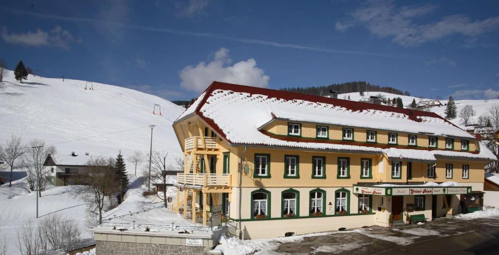 Gruener Baum Naturparkhotel & Schwarzwald-Restaurant Todtnau Exterior photo